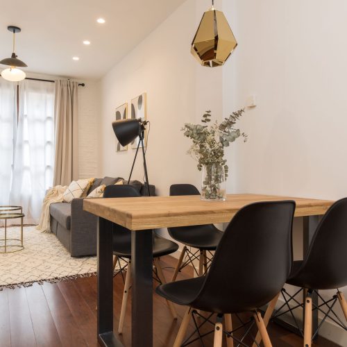 elena apartamentos 31