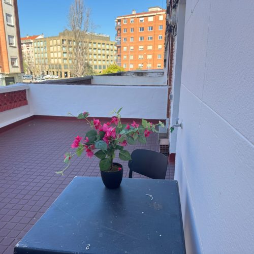 las terrazas de manzanera 3